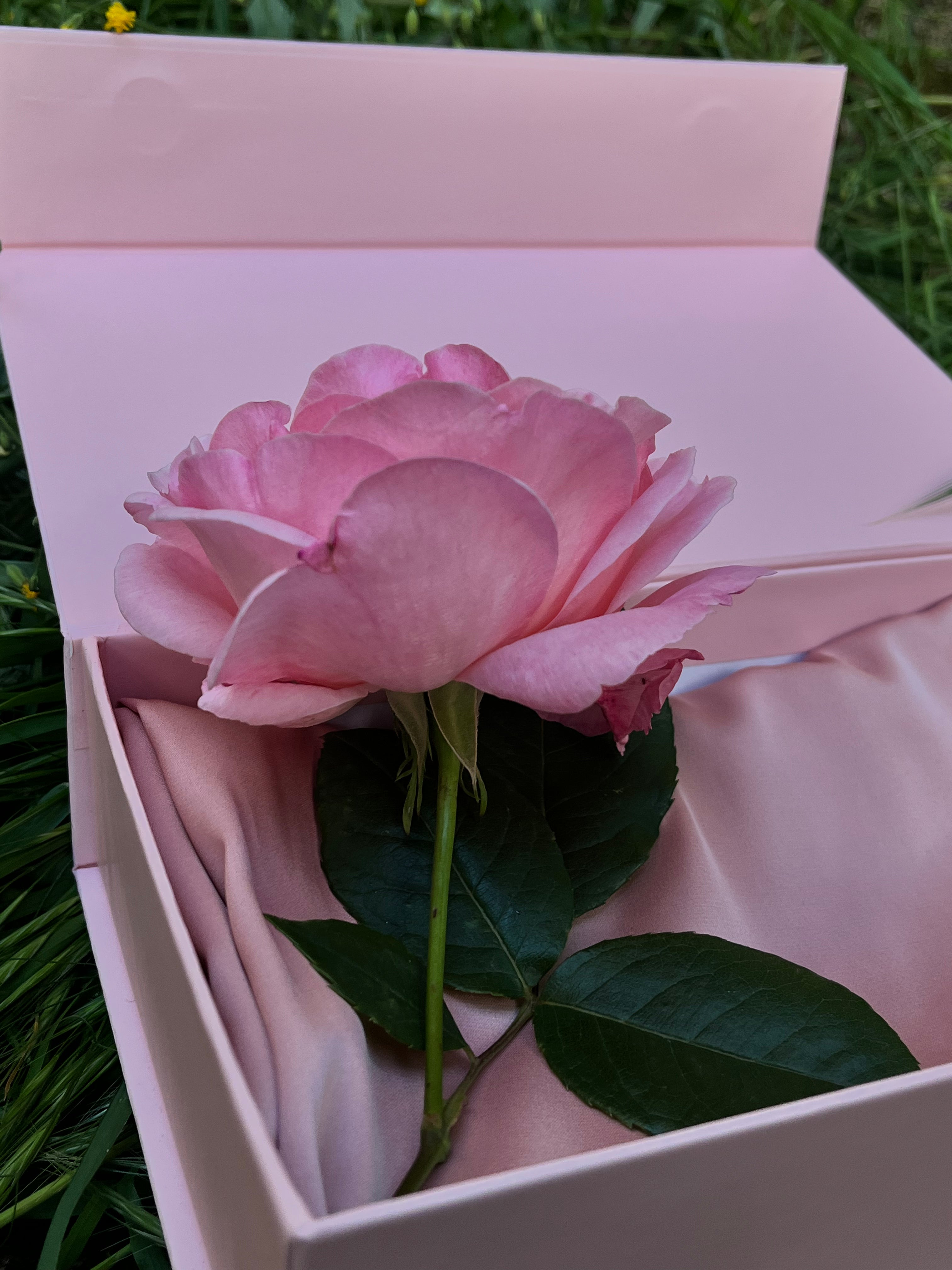 Dut İpek Toz Pembe Premium Yastık Kılıfı